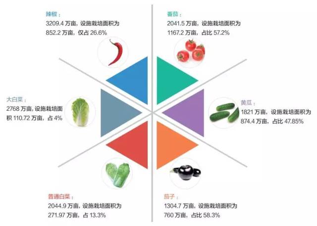 直击:全国5900万亩设施蔬菜主产区分布情况!