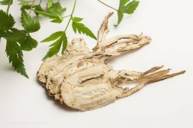 圣药当归 养血补虚袪斑 三类人忌吃