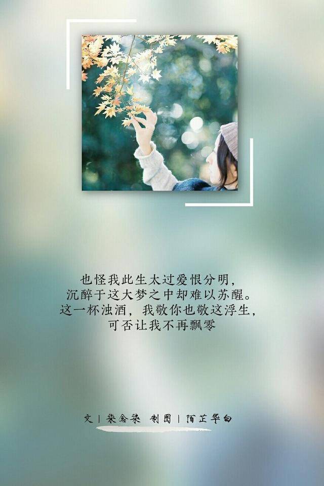 爱情这种东西 合得来就合 合不来就散 委曲求全的都是