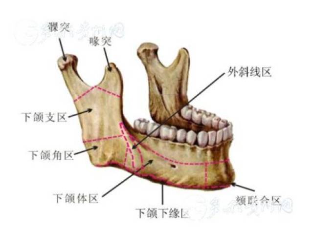手术去除了小王粗大的髁状突,将喙突移植到髁状突位置,恢复口腔功能和
