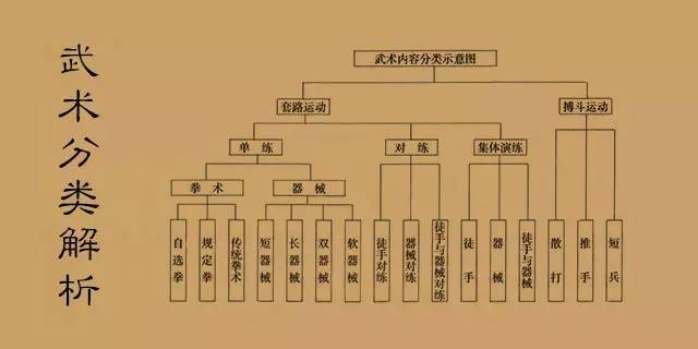 习武必读:武术分类解析