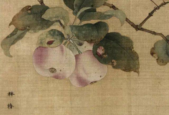 这幅《果熟来禽图》据推断是林椿晚年成熟期的作品.