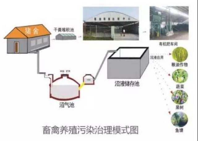 想做循环农业的农友注意啦,这几种模式很赚钱!