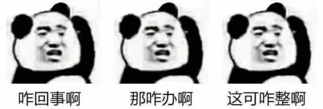 你想要的表情包都在这!