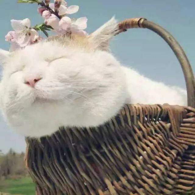 听听快递之夜小品《将心比心》背后的故事