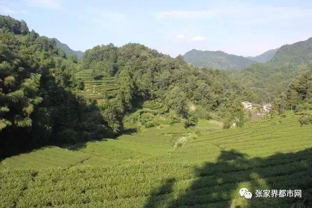 苗市镇黄花溪村 南山坪乡白果庙村 三合镇牧羊冲村 杉木桥镇马塔村 通