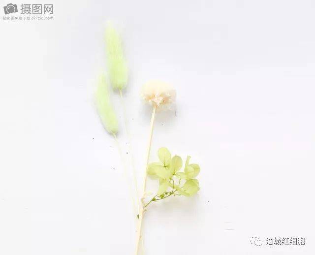 海尔尼沙先进事迹在克拉玛依区各工作队引起强烈反响