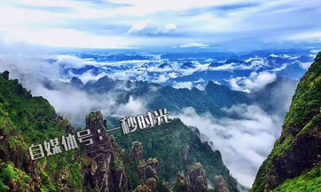 神农架gdp