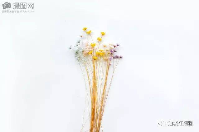 海尔尼沙先进事迹在克拉玛依区各工作队引起强烈反响