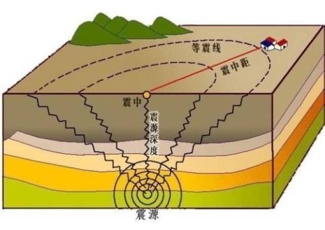 纺锤型人口结构图_梨纺锤形树体结构图