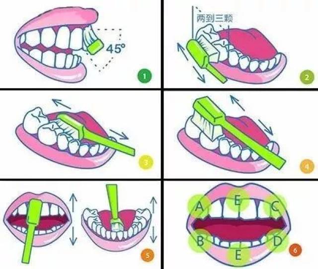目前口腔医学会推荐使用的是「巴氏刷牙法」,巴氏刷牙要求「45°刷」
