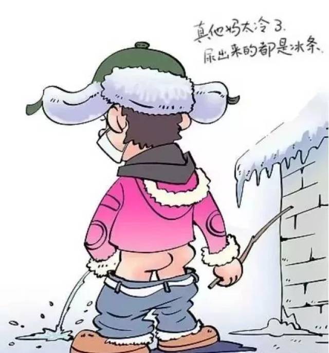 搜狐网