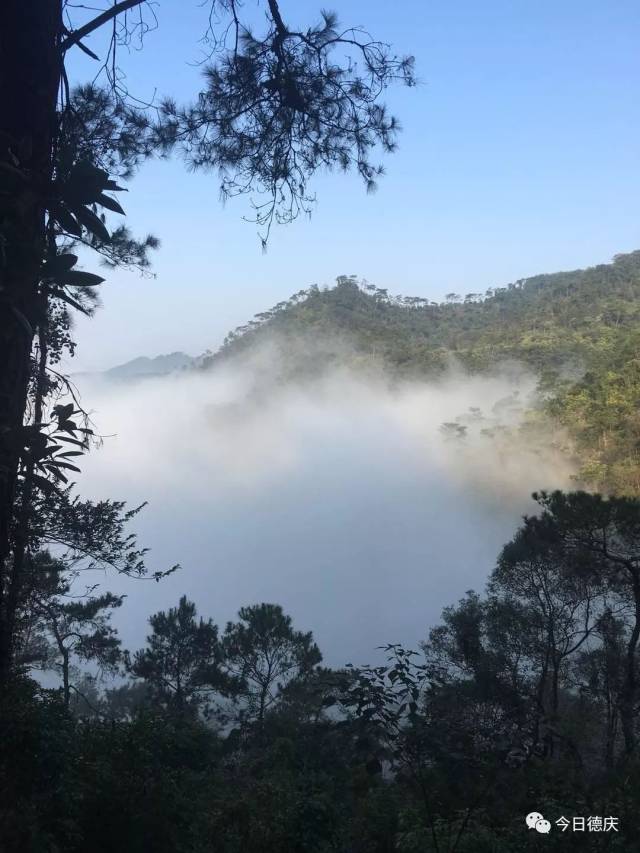 今日大雾笼罩下的德庆成了"天堂",香山现"仙境"!阴雨天气明天开启