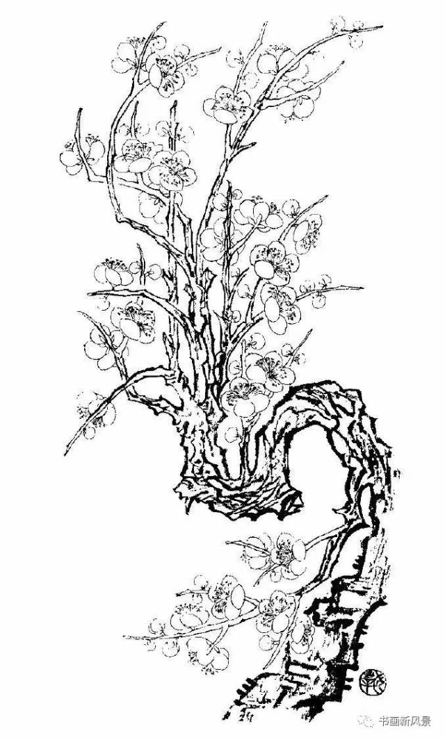 【每天教你学画画】梅花白描画谱! 老树虬枝,苍劲高洁