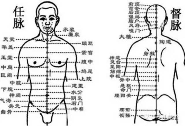 "任督二脉"是中医理论中的重要部分 督脉在背后正中,任脉则是人体前面