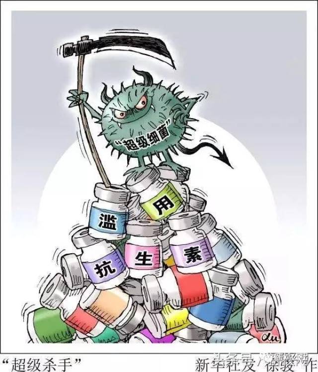 全球媒体警告"超级细菌"开始横行,养殖业必将告别抗生素滥用时代