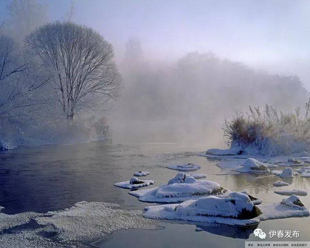 【水墨丹青·冰雪精灵】第十届中国(伊春)冬季摄影节 优秀奖获奖作品