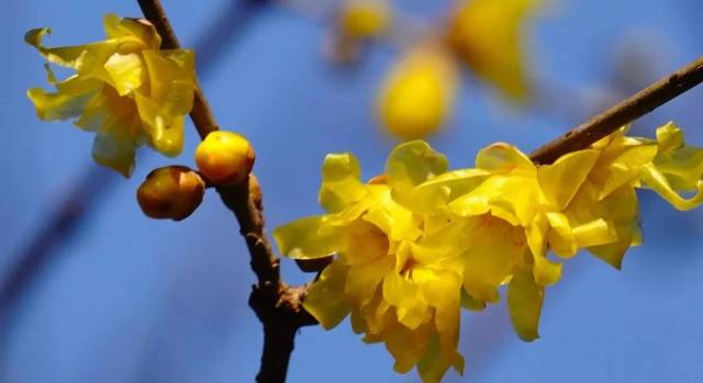 d2bf3505b8934ebd926265a09994b3bd.jpeg