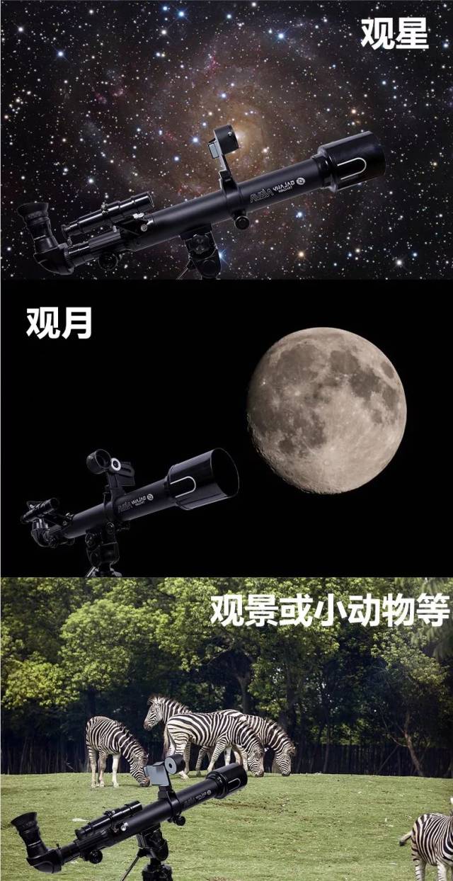 新年好礼,想要孩子走得远,得先让他看得远|返团