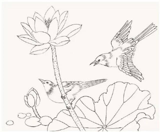 工笔画基础入门——脊苓鸟的绘画步骤教程