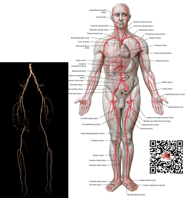 教学图示 640_657 gif 动态图 动图