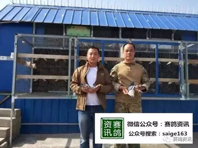 【经验派】他养鸽两年,就凭着这句话获得四冠王!