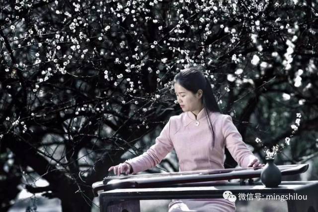 大雪的梅树下,听花开的声音.▍听听古琴《梅花三弄》