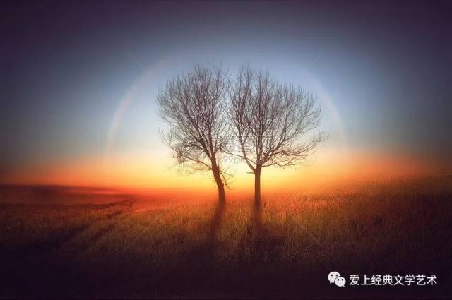 经典朗诵|童自荣、康辉、薛飞朗诵《匆匆》