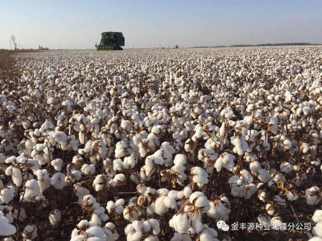 2018年度新疆农牧业生产气象年景趋势预测及