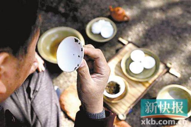 多维茶人叶汉钟 工夫茶里"功夫"深