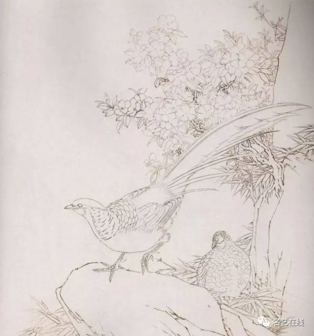 【每天教你学画画】工笔雉鸡,锦鸡的画法