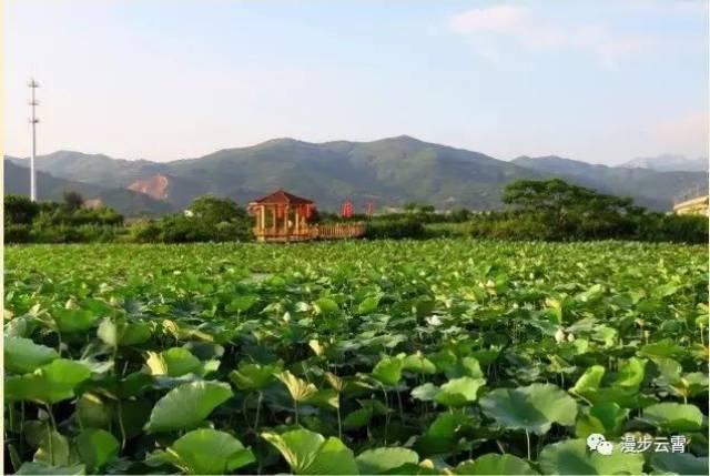 福建省最美休闲乡村 - 云霄县东厦镇佳洲村