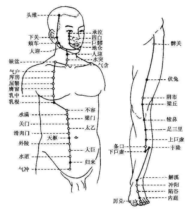 两条经络,两条人体生命线