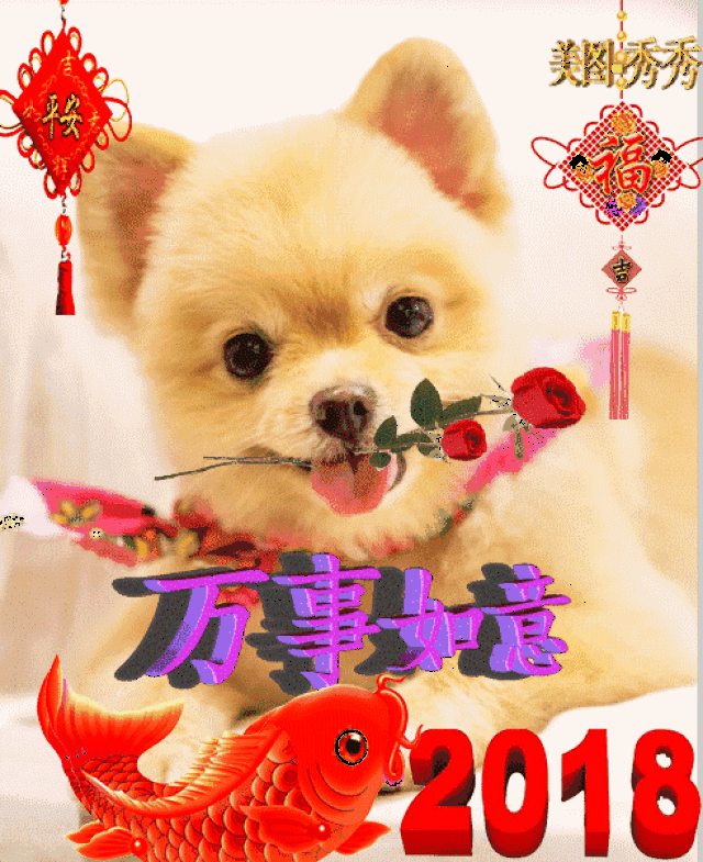 2018最新最全表情包,真漂亮!送给群里每一位朋友!