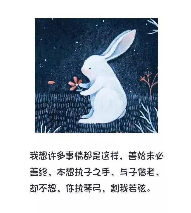 社交|"心软是病,情深致命.