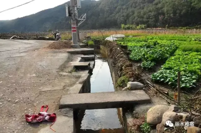【丽水古迹】莲都凤鸣村凤山堰