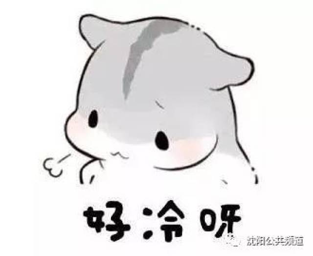 d42181ded44f481cb465ac943cb57a22.jpeg