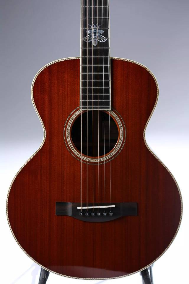 santacruz吉他,santacruz琴弦 颠覆你对小琴体吉他的认知!santa cruz firefly custom
