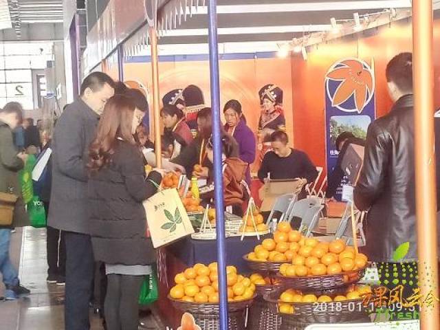 万果风云亚果会:2018广西柑橘产业博览会圆满