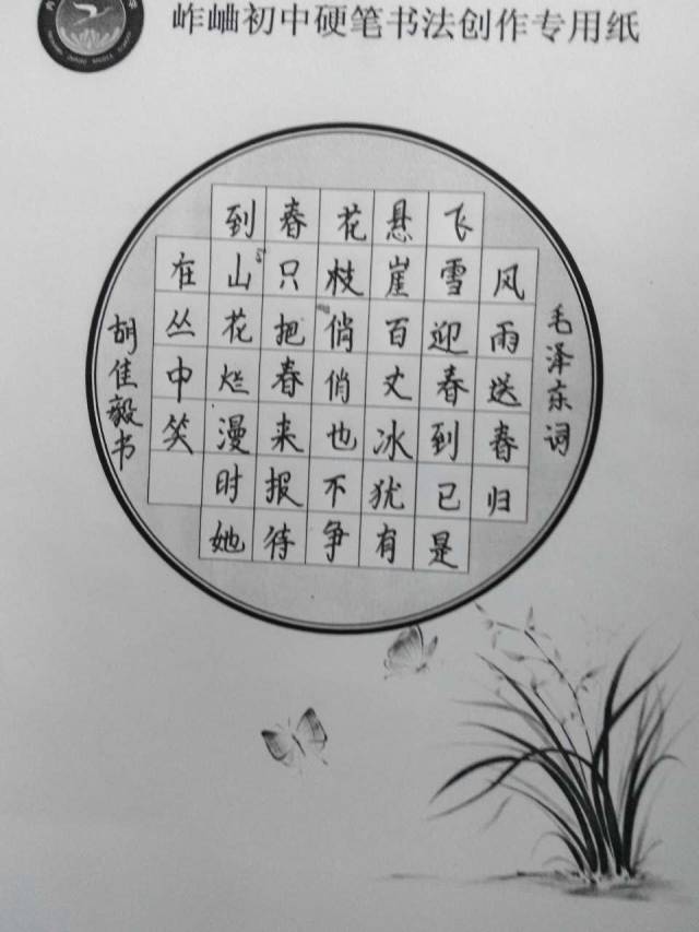 内乡县硬笔书法家协会"百日书写"活动(七十一)