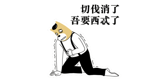 640_313