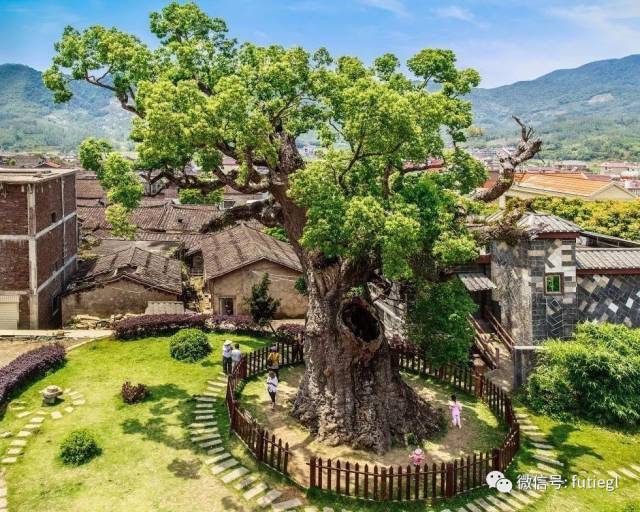 【恭贺新春-正月初五】长泰文庙、山重、十里