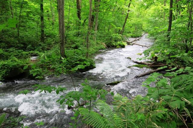 旅游风景区怎么发朋友圈 6ddc2224e98045ba8e4a91b5ac4d0c6b.jpeg