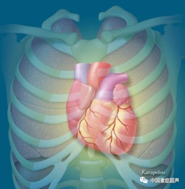 重症心脏超声基础理论-经胸心脏超声基本平面(1)_手机
