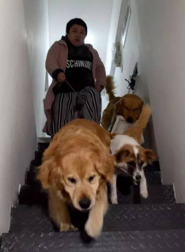 暖哭!一个人三只狗街头卖唱:狗狗不离不弃的陪伴可以打败绝症!