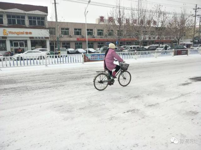 2018年的第一场雪!高阳发生了这些事!