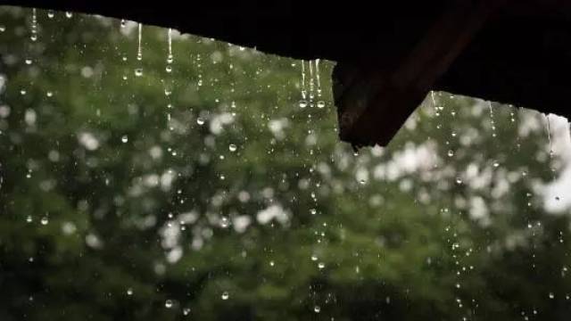 小楼一夜听春雨.——陆游·《临安春雨初霁》