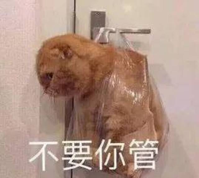 ���Ϻ��������߱�������ͷ����ɯ��Ϯ�ص����˳�ƨ���̣���Ща