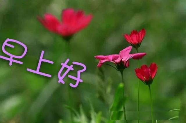 Ϻʺ ʺϺ¼