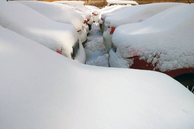 雪窝烟台为何这么能下雪?东北雪乡转移到山东了?